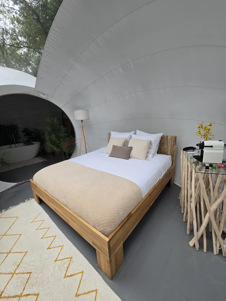 whipped cream bubbles