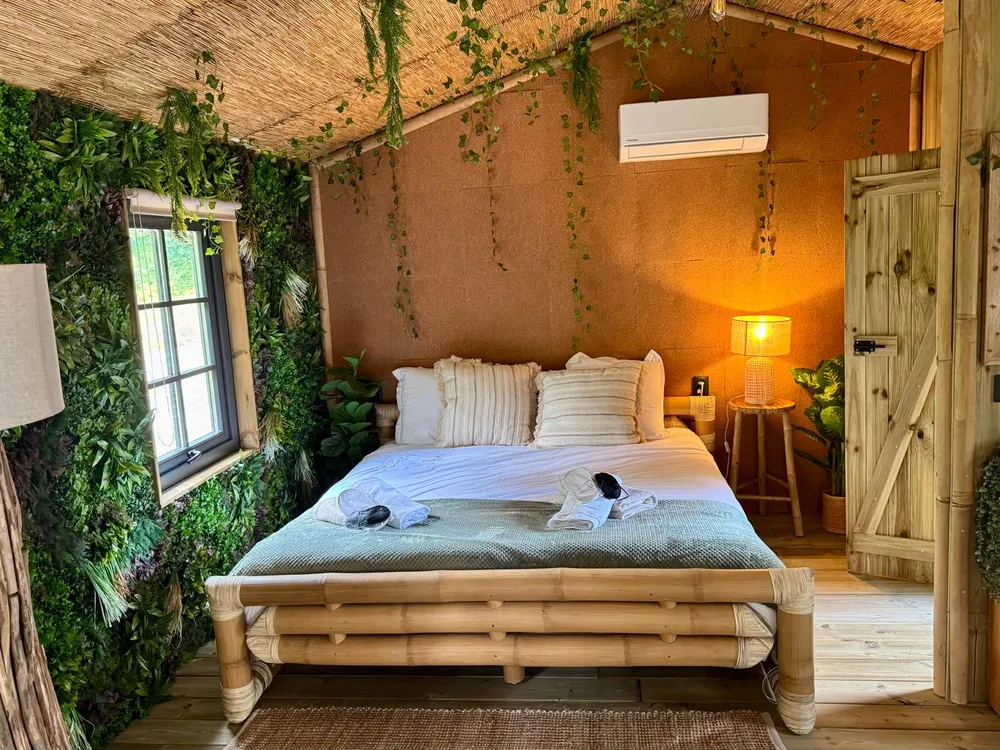 chambre cosy jungle domaine saint michel